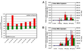 上海伯豪生物技术 SBC miRNA芯片服务促销行动，专业实验技术服务助您科研加速